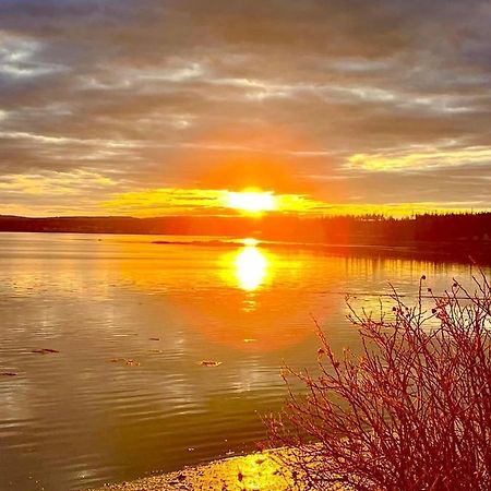Edgewater Sunrise Apartment Chemainus Eksteriør bilde